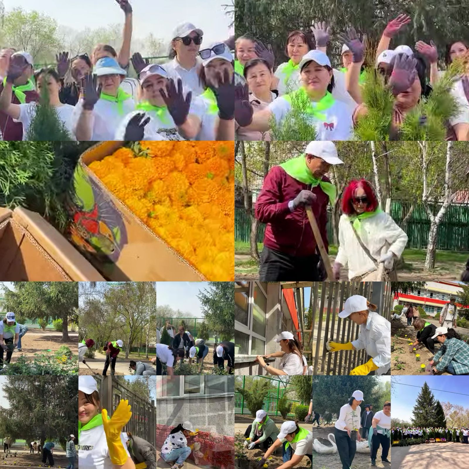 "Таза Қазақстан" республикалық экологиялық акциясы